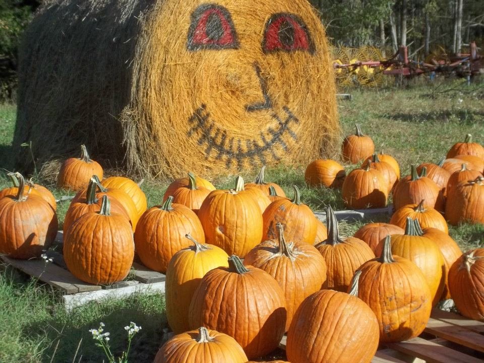 Barbara Sisk's album, Pumpkin Hill