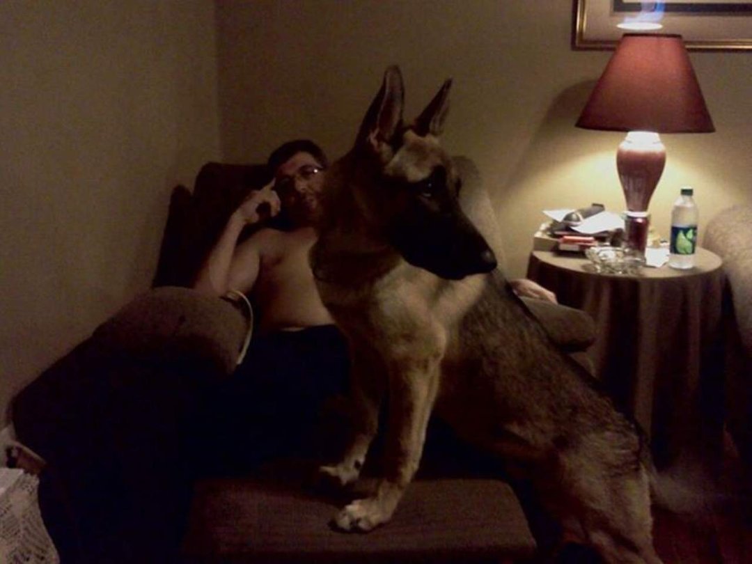 Shannon Consentino's album, Mobile Uploads