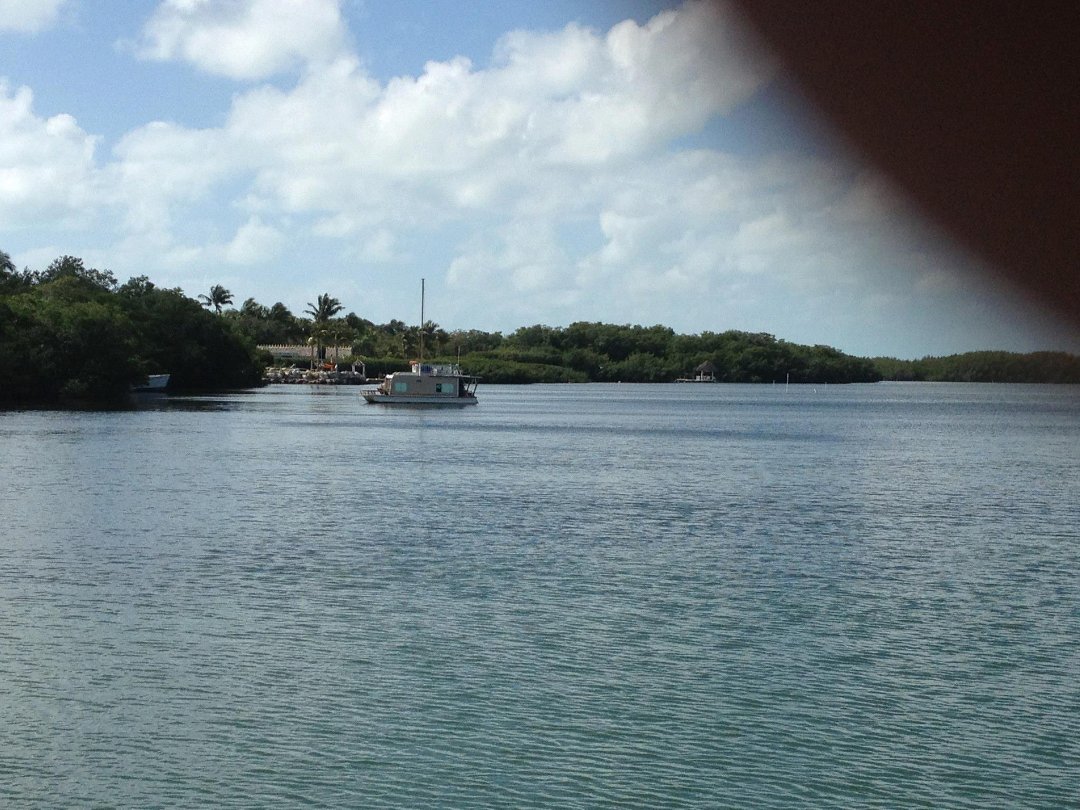 David Krantz's album, Key West 2013