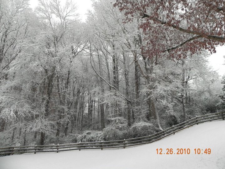 Ellen Phillips' album, Christmas 2010