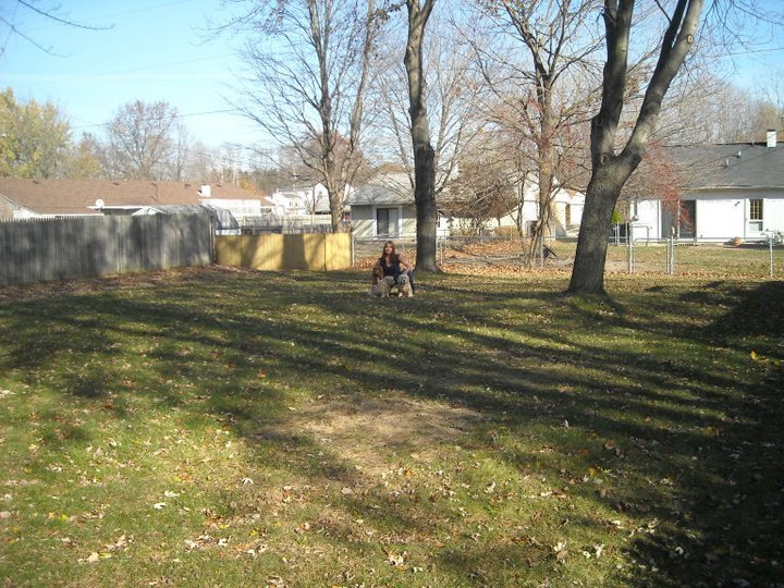 Lisa Long's album, November 8, 2010