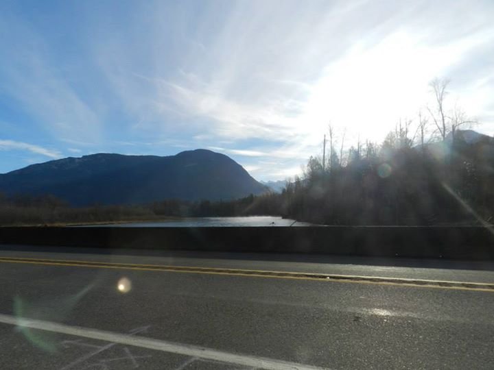 Vance McDill's album, Eagle watching on the Sauk River, North Cascades