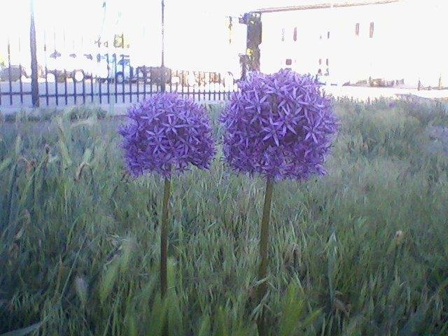 Kyle Applebee's album, Mobile Uploads