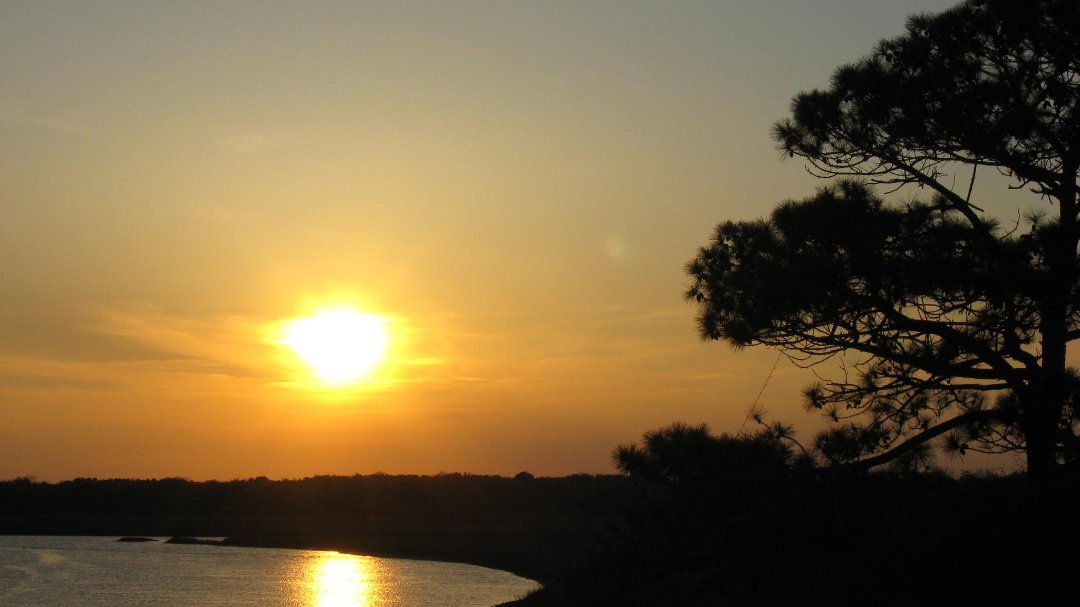 Nancy Dannels' album, Cover Photos