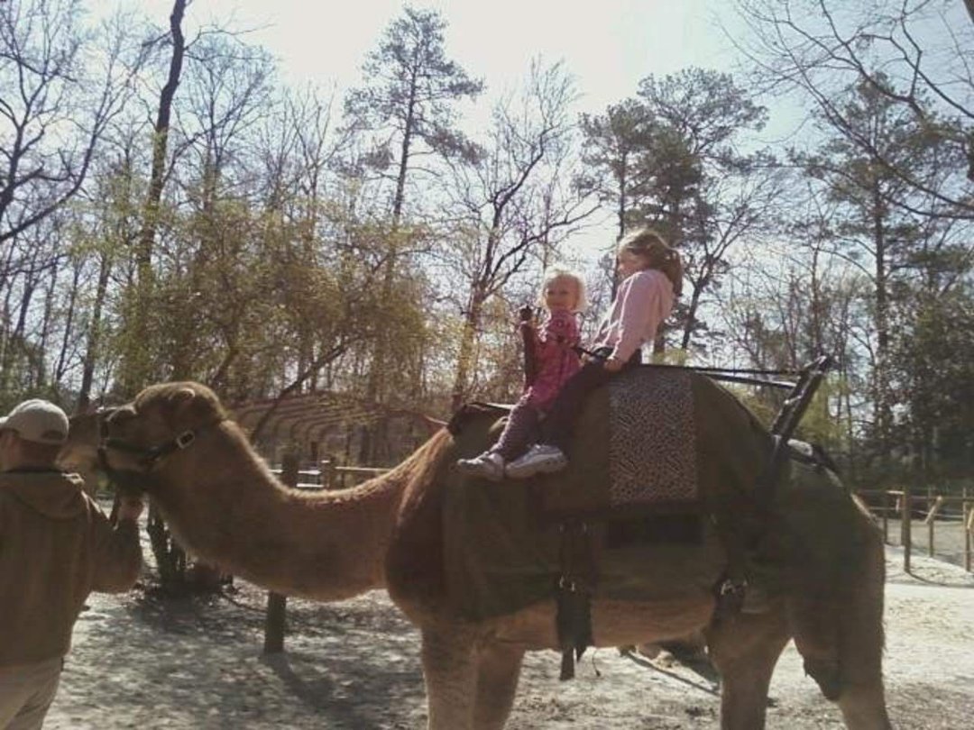 Kim LaMaster's album, March 18, 2011