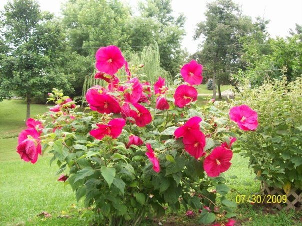 Debra Justice's album, Timeline Photos