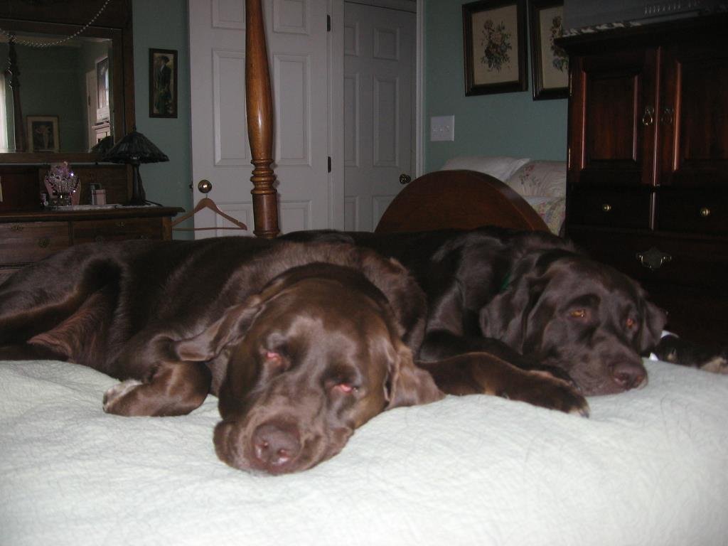 Bill Bennett's album, Cover Photos