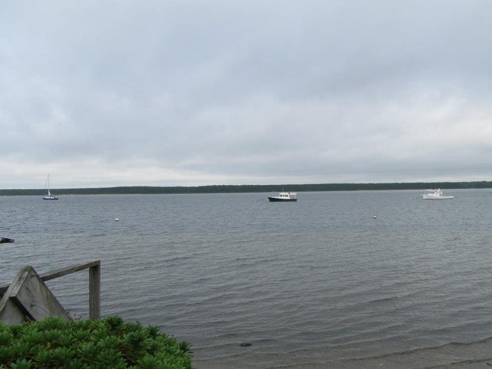 Leslie Petersen's album, Cape Cod 2012