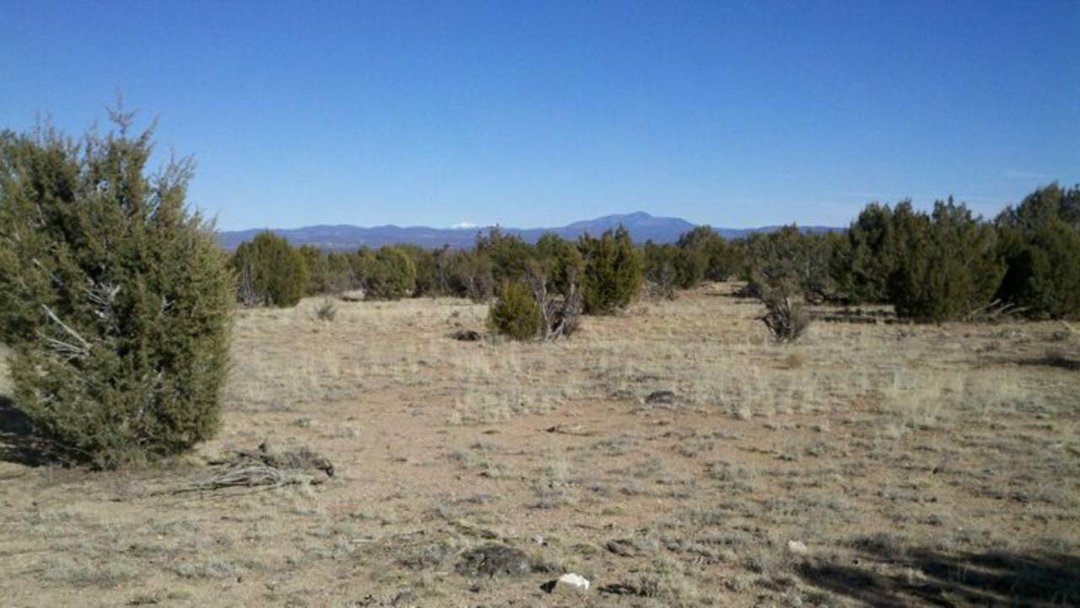 Larry Rider's album, Surveyin' some of the Old West! Does anyone know where this is?