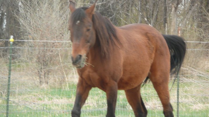 Jan Weddle's album, August 16, 2011