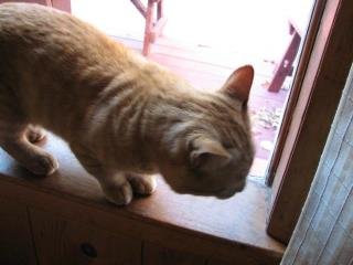 Maribeth Bach's album, Oliver