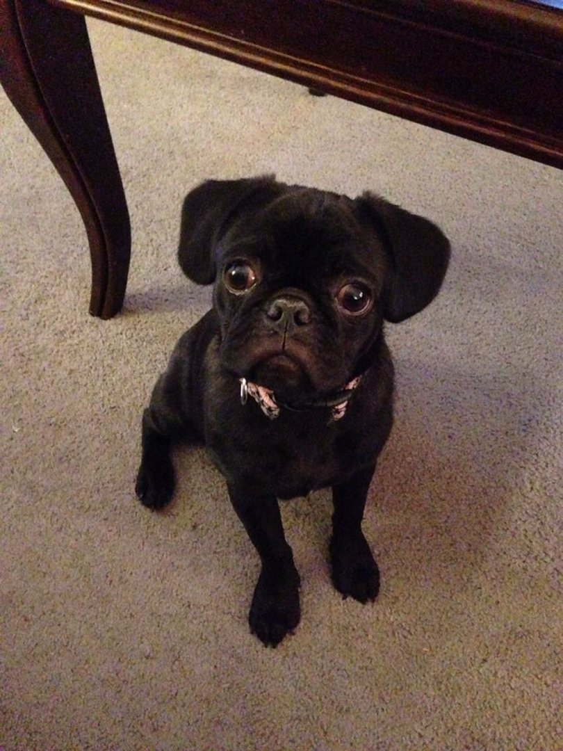 Kathie Derring's album, iOS Photos