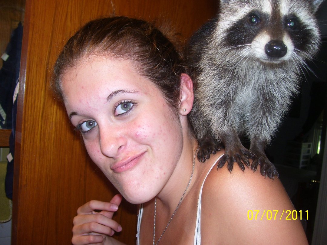 Vickie Streator's album, Kodak EasyShare