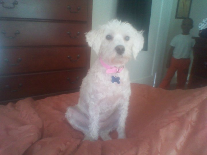 Tracy Bonner's album, May 3, 2011