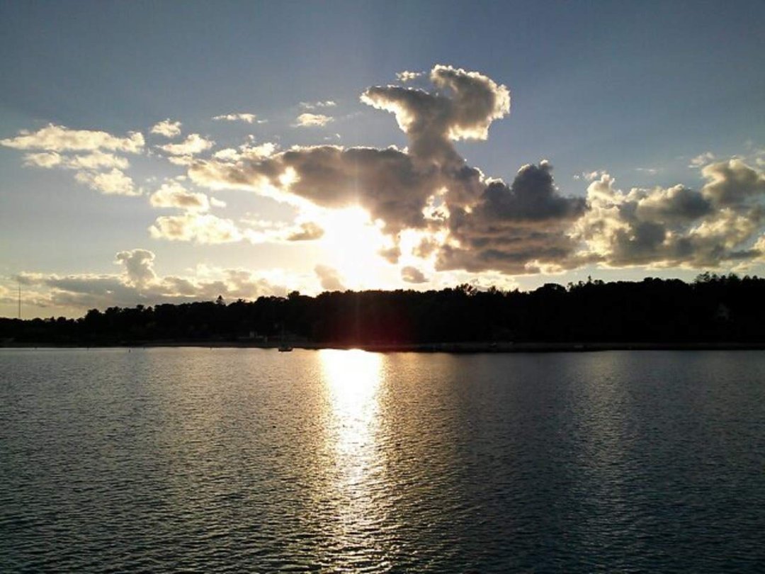 Anthony Dziabuda's album, Mobile Uploads