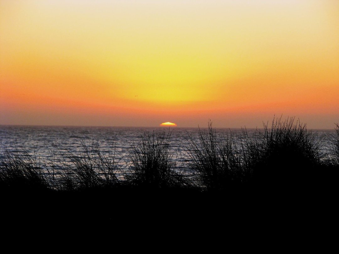 Susan Gerdsen's album, Cover Photos