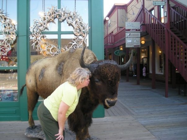 Jean Pizzola's album, Wyoming pics