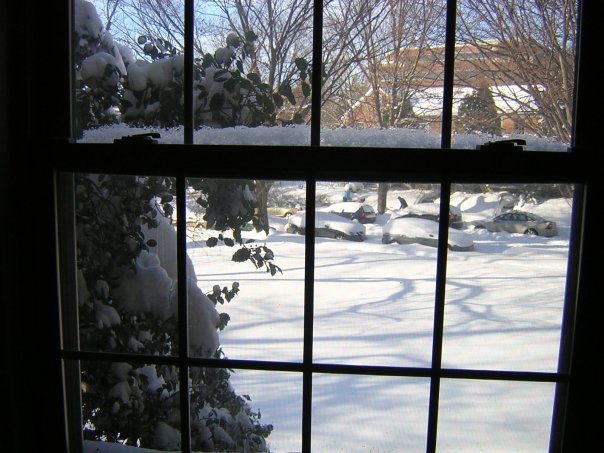 Michael Segle's album, Blizzard Cats