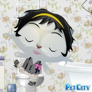 Debra Sheikh's album, Pet City Photos