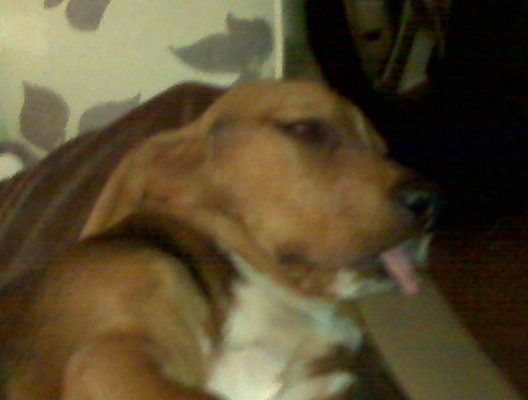 Mitchell Cheek's album, Mobile Uploads