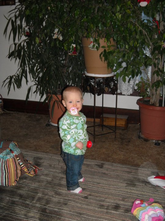 Darrin Barnes' album, Avery Mae's 1st Year