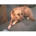John Goshen's album, Timeline Photos