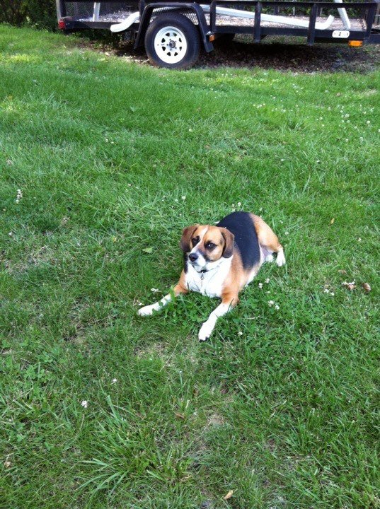 Elizabeth Greenspan's album, iOS Photos