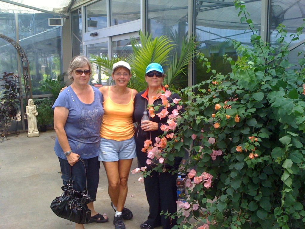 cheryl mcfarlin's album, Mobile Uploads
