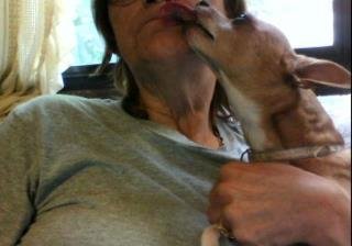 Barbara Bennett's album, Webcam Photos