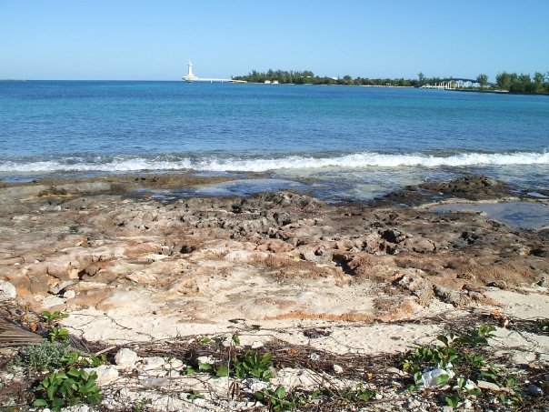 Sandy Beetstra's album, my Bahama's Vacation