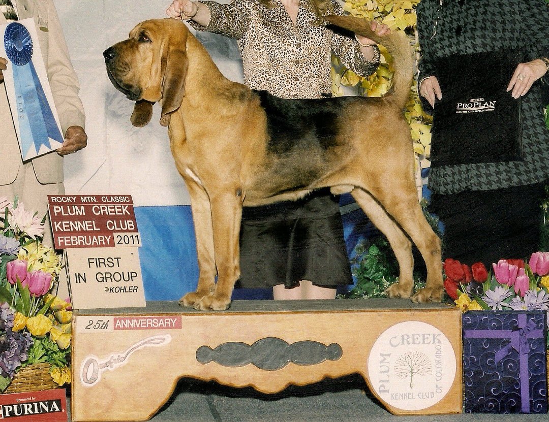 Carol McDowell's album, Profile Pictures