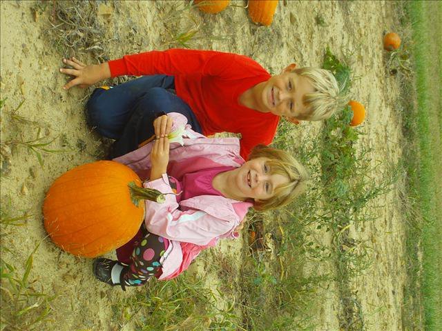 Amy Schaefer's album, Pumpkin patch 2010