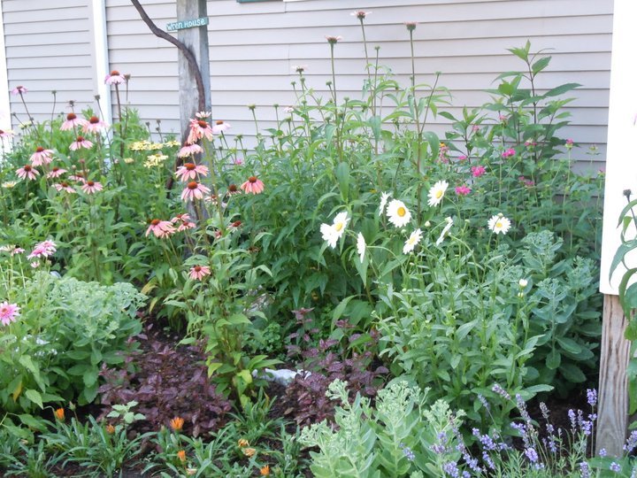 Paul Daigle's album, July 15, 2011