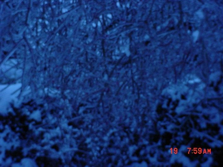 Jane Laird's album, Untitled Album