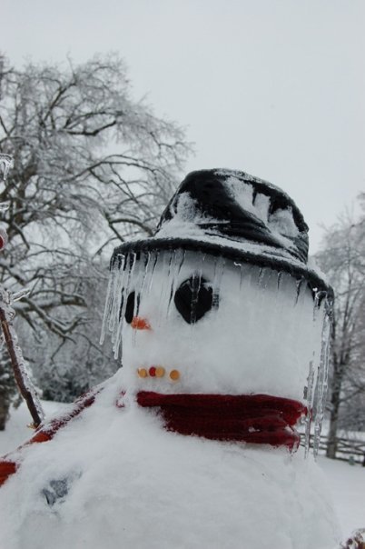 Mike Prather's album, Kentucky Ice Storm 2009