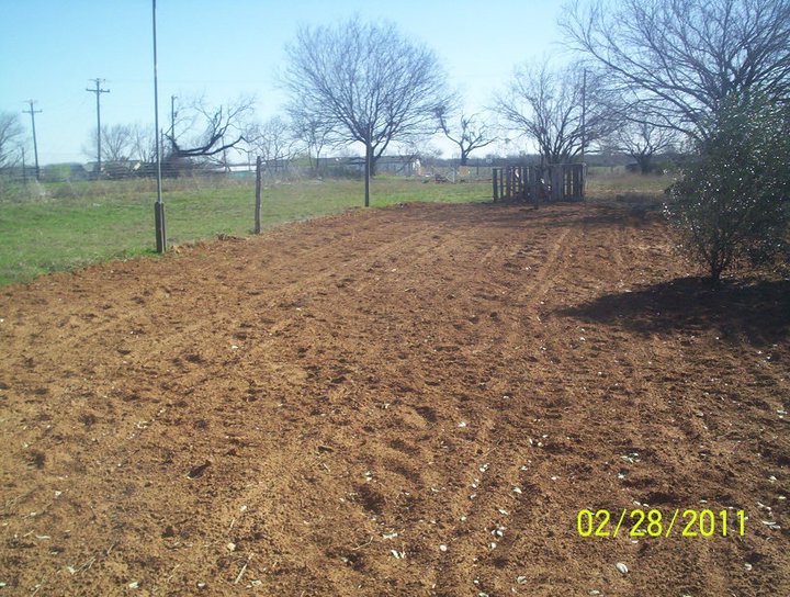 Sandy Shodeen's album, Garden Party for 2011 (Feb-Mar)