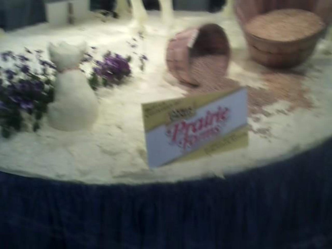 Bruce Killen's album, State Fair Aug. 21,2011