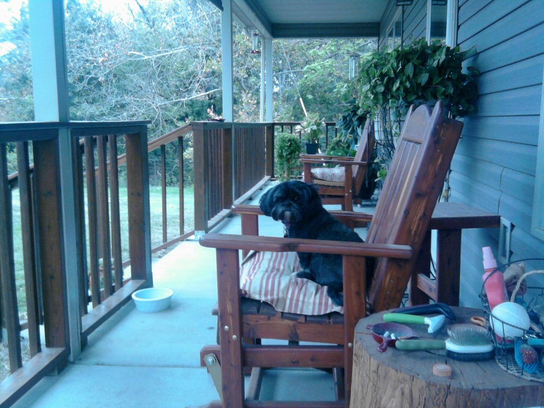 Denise Knoff's album, Mobile Uploads