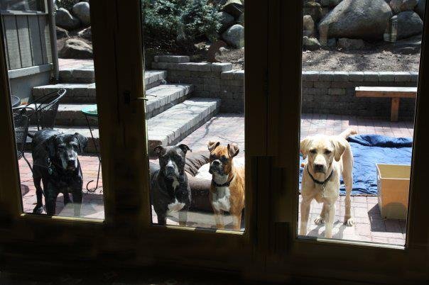 Ann Shultz's album, Cover Photos