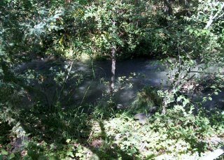 Terry Federoff's album, To and at Morgan Hill