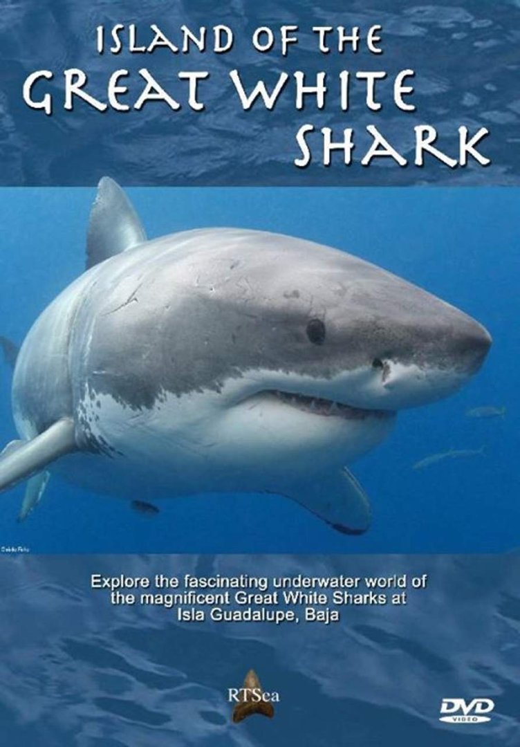 John Ayres' album, Isla Guadalupe