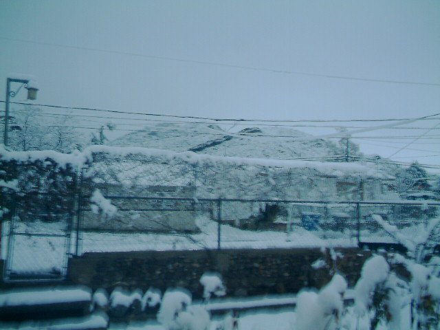 marie aboud's album, February 27, 2011