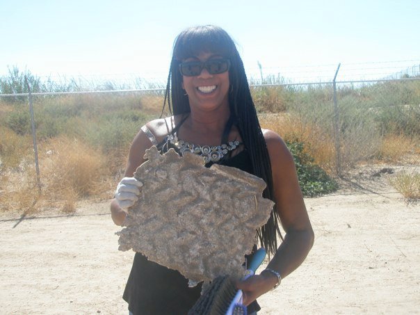 Terry Brown's album, PICTURES