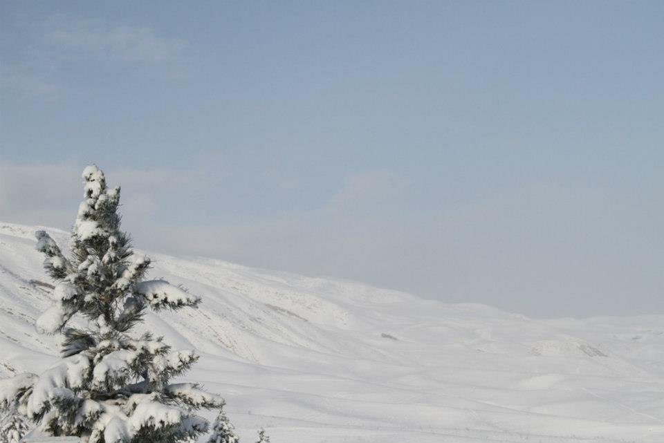 Bill Leaf's album, Snowy Kopet Dag - March 8, 2013