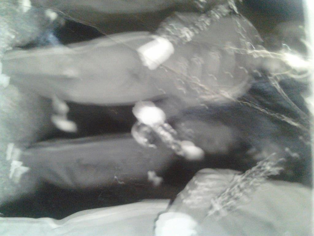 Mildred Allen's album, Mobile Uploads