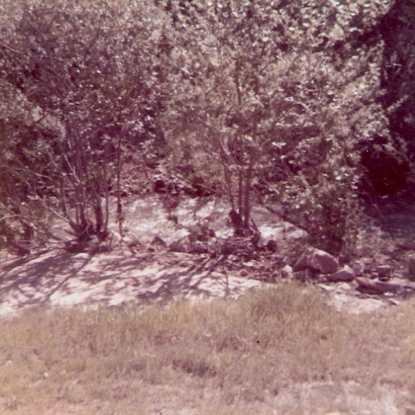 Jay Tauber's album, Geology Field Trips