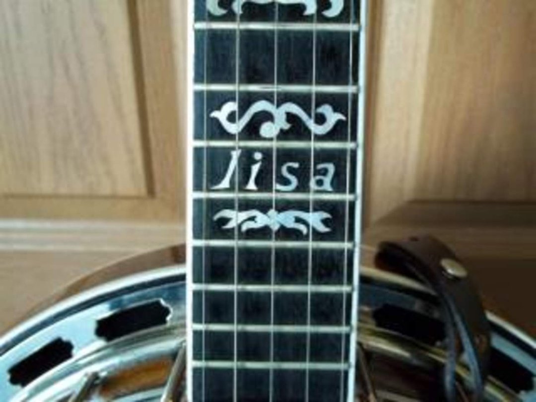 David Arnold's album, banjo made by john wynn
