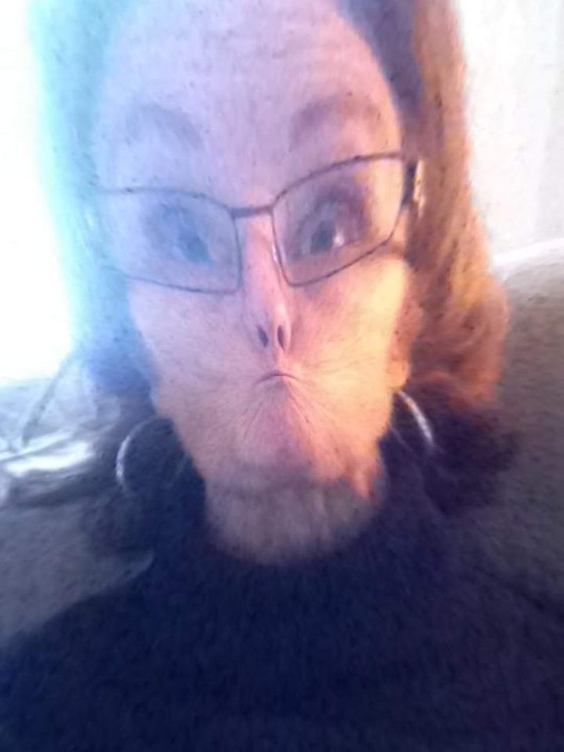 Jean Lambert's album, Mobile Uploads