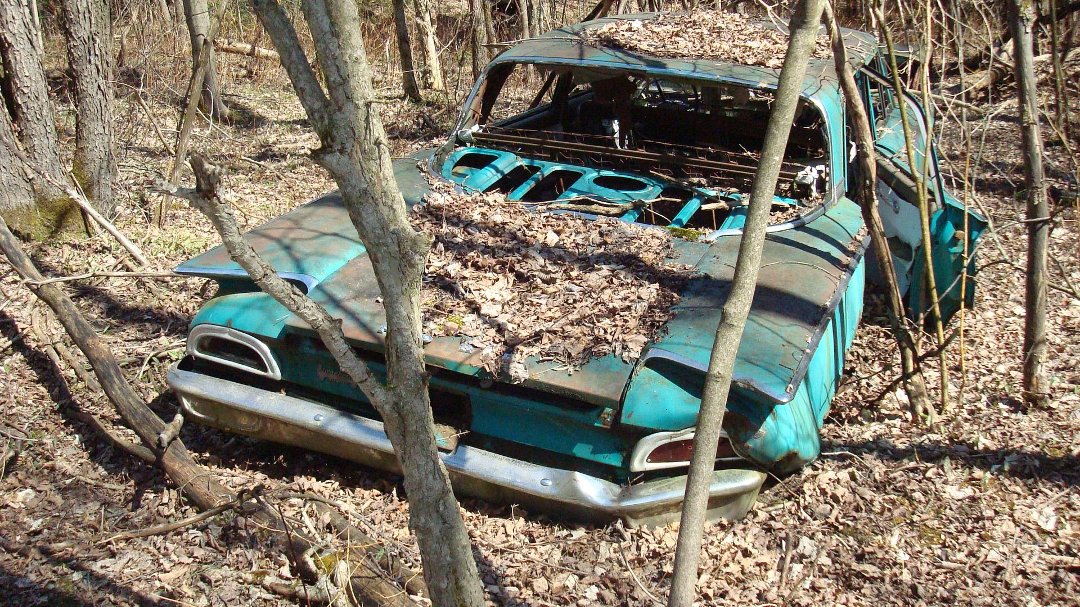 Chris Cunningham's album, 'Rustic' Scenes on a Recent Hike