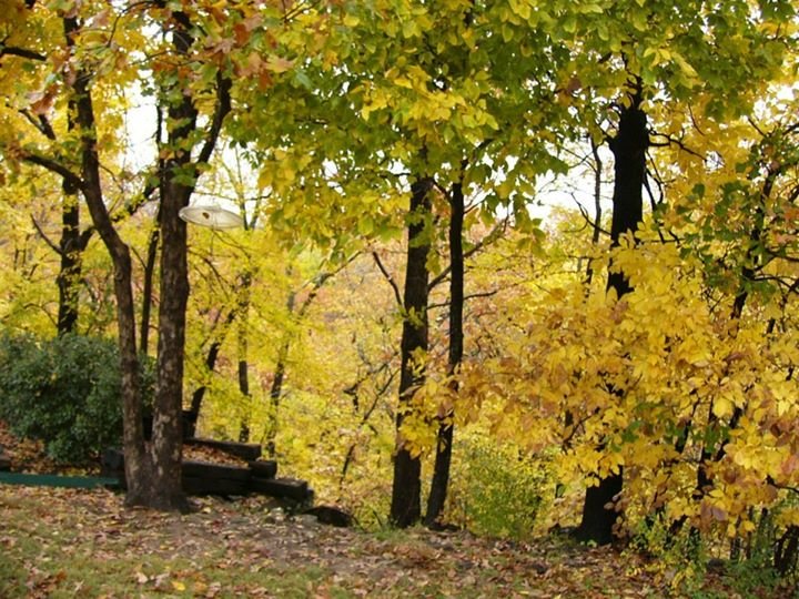 Terry Clark's album, Fall at the Clark house
